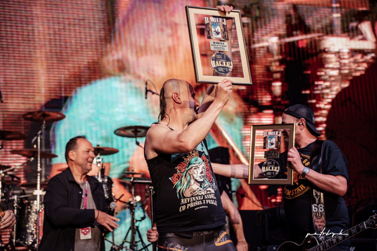 DSC 1542 Vylepsene NR