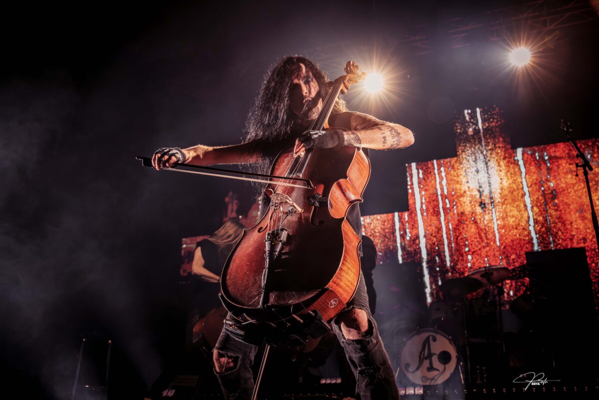 DSC 6571 Vylepsene NR