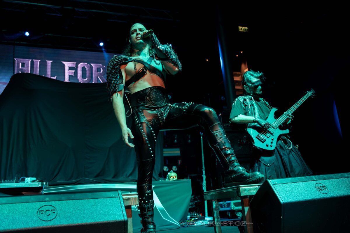 DSC 7978 Vylepsene NR