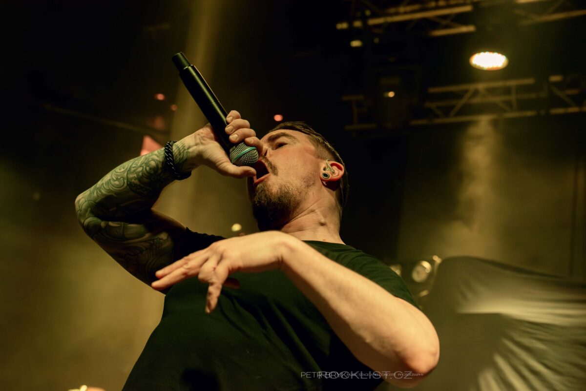 DSC 8304 Vylepsene NR