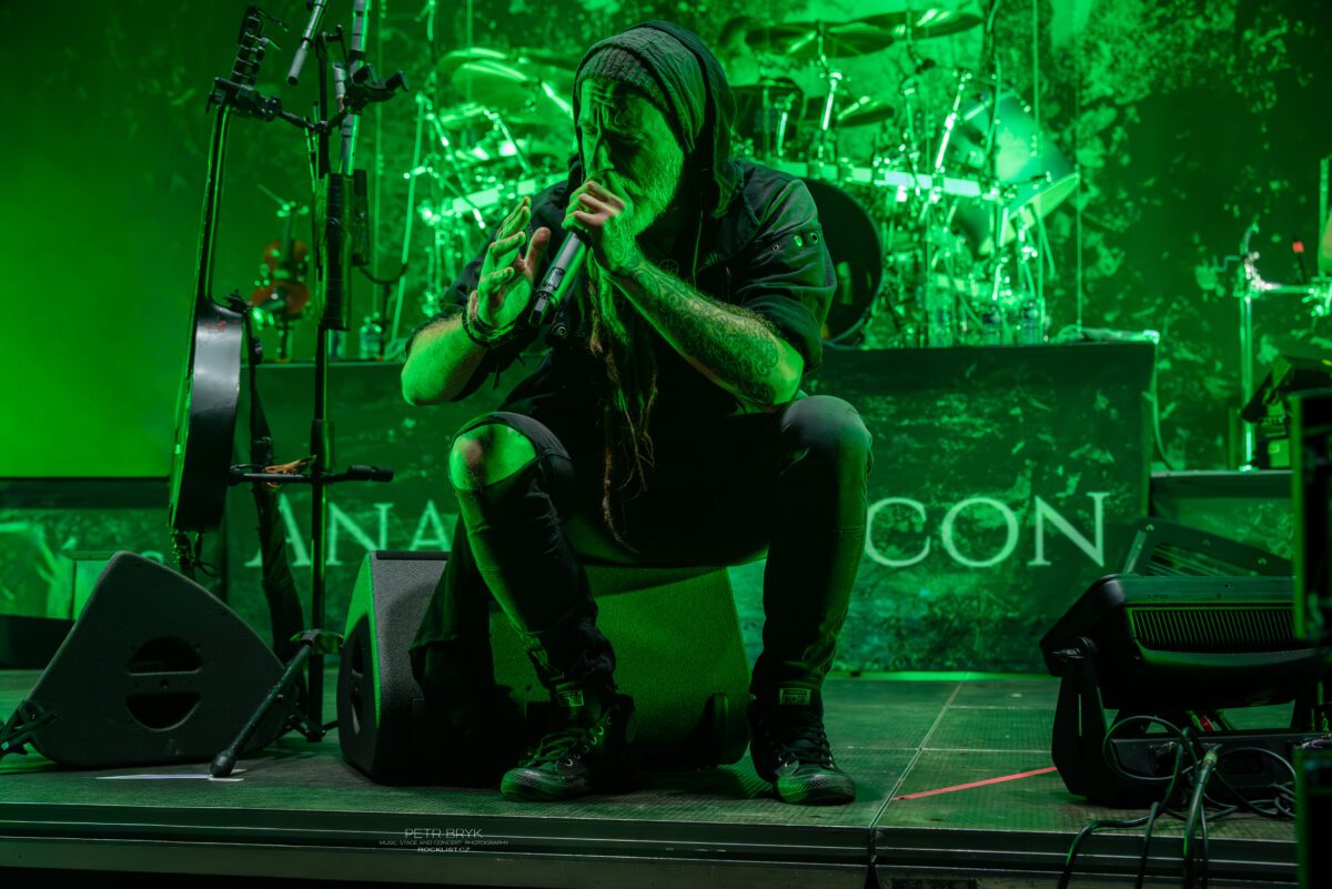 DSC 2936 – obnoveny