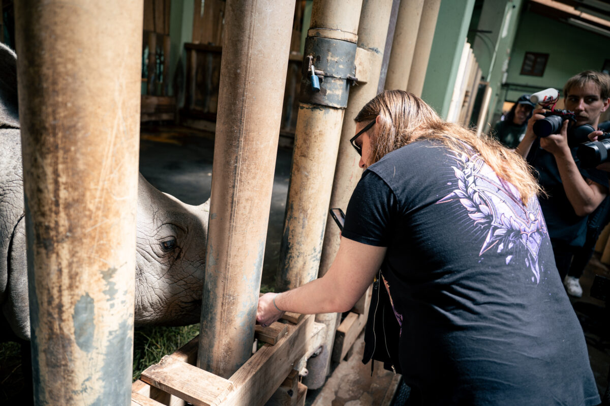 DSC 0704