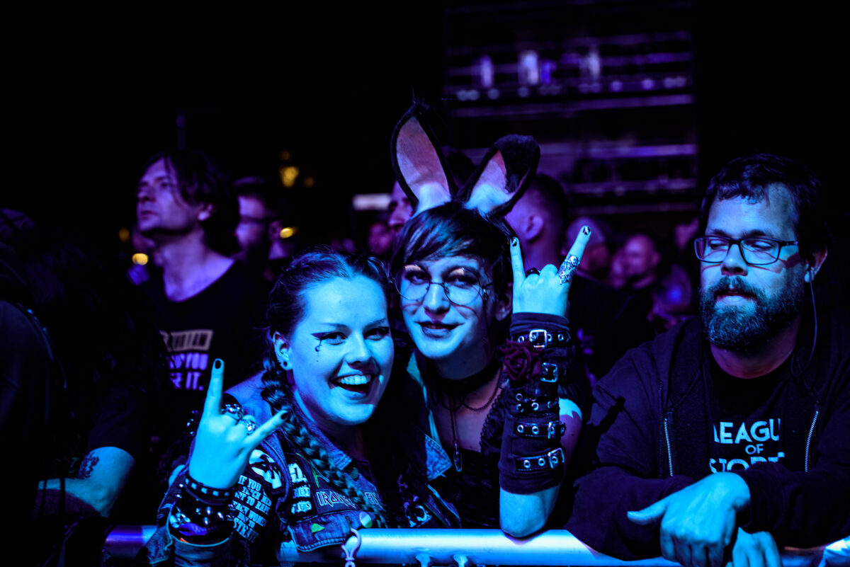 Fans 11 1